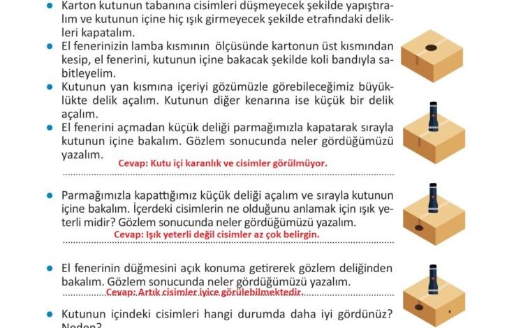 3. Sınıf Fen Bilimleri Meb Yayınları Sayfa 139 Cevapları