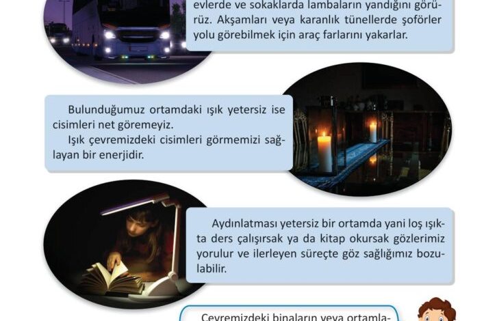 3. Sınıf Fen Bilimleri Meb Yayınları Sayfa 140 Cevapları