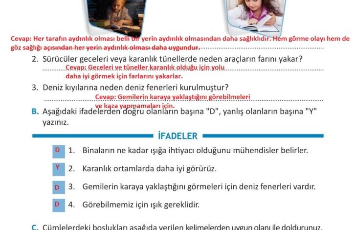 3. Sınıf Fen Bilimleri Meb Yayınları Sayfa 142 Cevapları