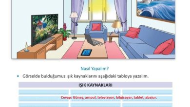 3. Sınıf Fen Bilimleri Meb Yayınları Sayfa 144 Cevapları