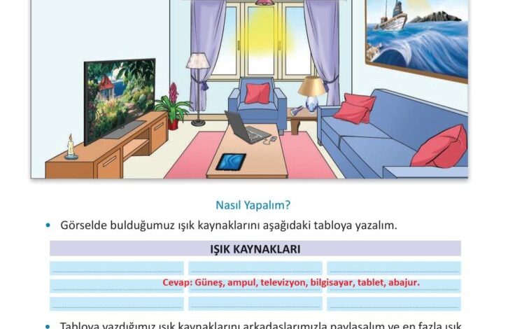 3. Sınıf Fen Bilimleri Meb Yayınları Sayfa 144 Cevapları