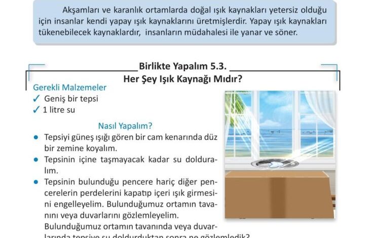 3. Sınıf Fen Bilimleri Meb Yayınları Sayfa 146 Cevapları