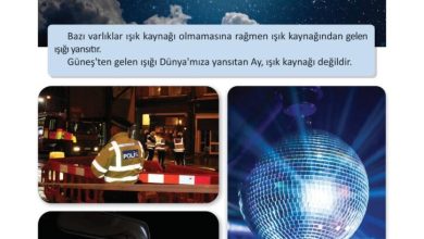 3. Sınıf Fen Bilimleri Meb Yayınları Sayfa 147 Cevapları