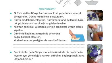 3. Sınıf Fen Bilimleri Meb Yayınları Sayfa 15 Cevapları