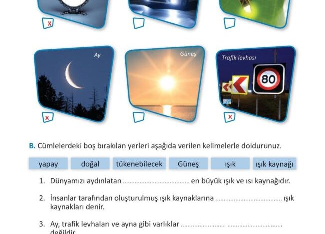 3. Sınıf Fen Bilimleri Meb Yayınları Sayfa 150 Cevapları