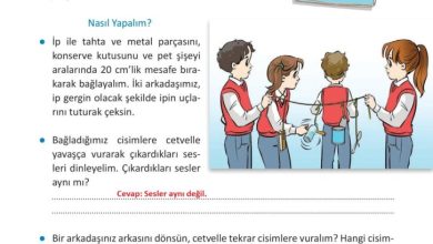 3. Sınıf Fen Bilimleri Meb Yayınları Sayfa 152 Cevapları