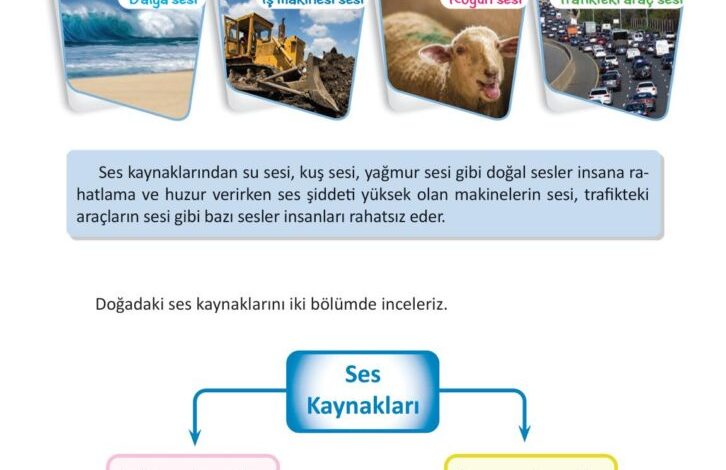 3. Sınıf Fen Bilimleri Meb Yayınları Sayfa 154 Cevapları