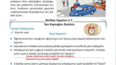 3. Sınıf Fen Bilimleri Meb Yayınları Sayfa 158 Cevapları