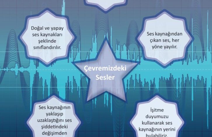 3. Sınıf Fen Bilimleri Meb Yayınları Sayfa 159 Cevapları