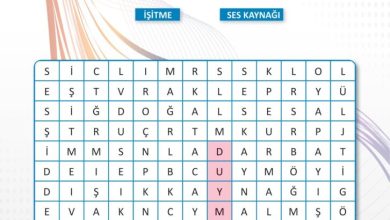 3. Sınıf Fen Bilimleri Meb Yayınları Sayfa 160 Cevapları