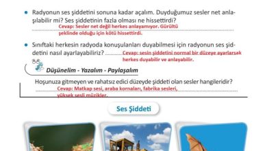 3. Sınıf Fen Bilimleri Meb Yayınları Sayfa 163 Cevapları