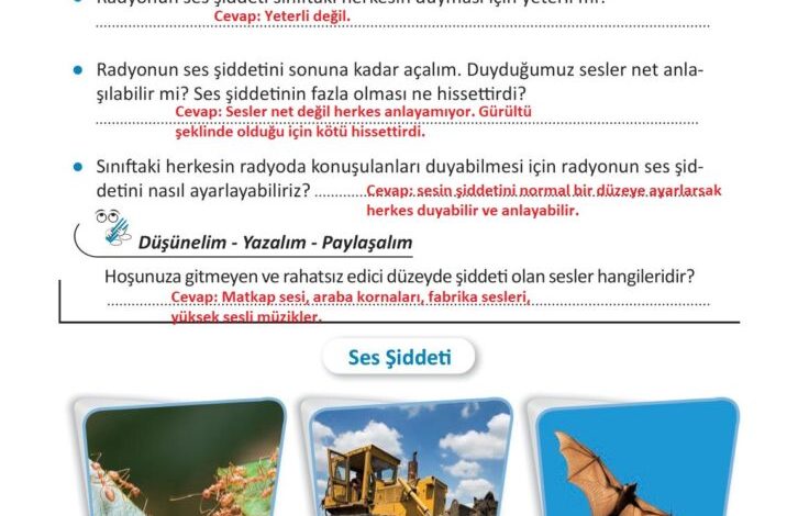 3. Sınıf Fen Bilimleri Meb Yayınları Sayfa 163 Cevapları