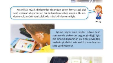 3. Sınıf Fen Bilimleri Meb Yayınları Sayfa 168 Cevapları