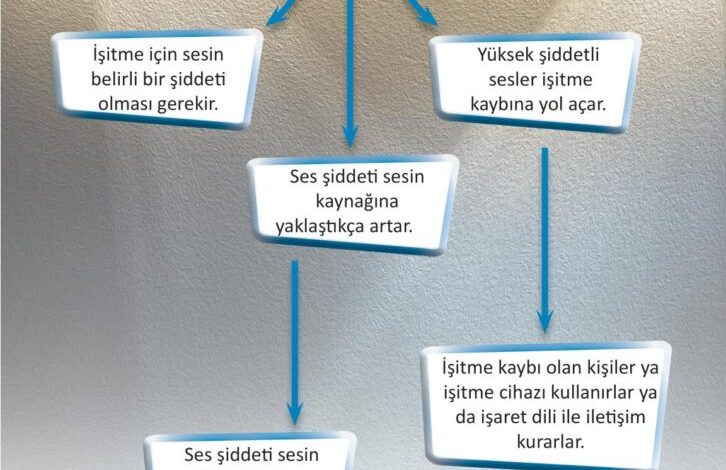 3. Sınıf Fen Bilimleri Meb Yayınları Sayfa 169 Cevapları