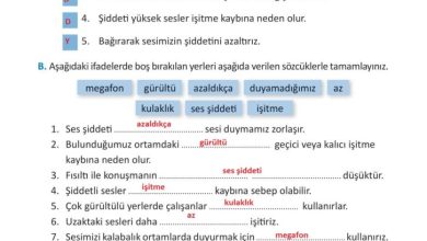 3. Sınıf Fen Bilimleri Meb Yayınları Sayfa 170 Cevapları