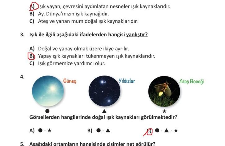 3. Sınıf Fen Bilimleri Meb Yayınları Sayfa 172 Cevapları