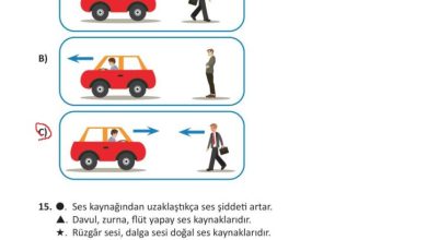 3. Sınıf Fen Bilimleri Meb Yayınları Sayfa 174 Cevapları