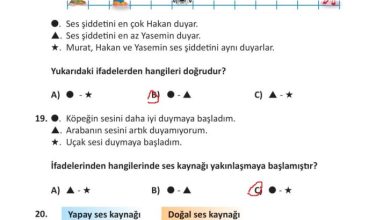 3. Sınıf Fen Bilimleri Meb Yayınları Sayfa 175 Cevapları