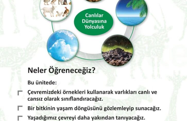 3. Sınıf Fen Bilimleri Meb Yayınları Sayfa 176 Cevapları