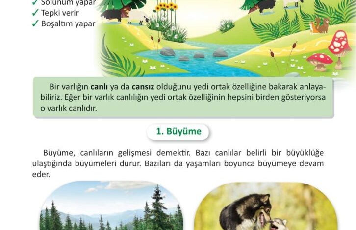 3. Sınıf Fen Bilimleri Meb Yayınları Sayfa 179 Cevapları