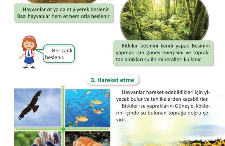 3. Sınıf Fen Bilimleri Meb Yayınları Sayfa 180 Cevapları