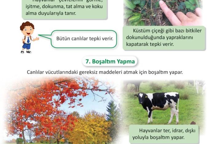 3. Sınıf Fen Bilimleri Meb Yayınları Sayfa 182 Cevapları