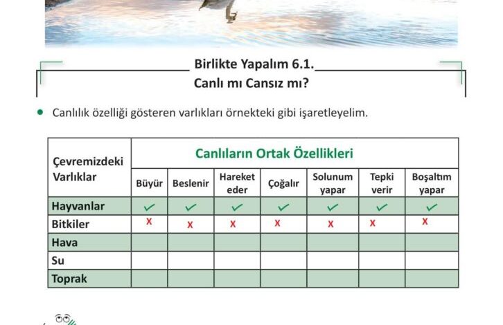 3. Sınıf Fen Bilimleri Meb Yayınları Sayfa 183 Cevapları