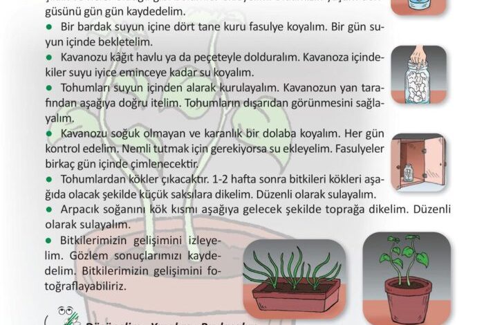 3. Sınıf Fen Bilimleri Meb Yayınları Sayfa 185 Cevapları