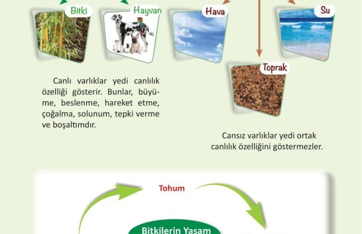 3. Sınıf Fen Bilimleri Meb Yayınları Sayfa 186 Cevapları