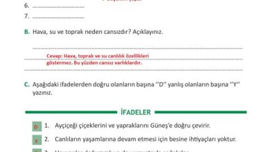 3. Sınıf Fen Bilimleri Meb Yayınları Sayfa 187 Cevapları