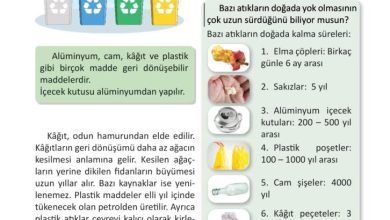 3. Sınıf Fen Bilimleri Meb Yayınları Sayfa 193 Cevapları