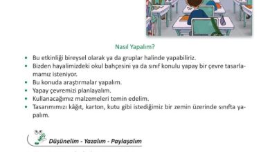 3. Sınıf Fen Bilimleri Meb Yayınları Sayfa 197 Cevapları