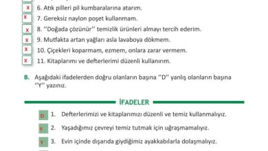 3. Sınıf Fen Bilimleri Meb Yayınları Sayfa 202 Cevapları