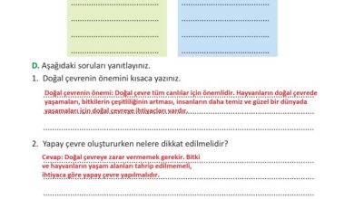 3. Sınıf Fen Bilimleri Meb Yayınları Sayfa 203 Cevapları