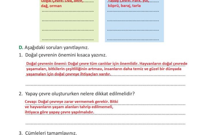 3. Sınıf Fen Bilimleri Meb Yayınları Sayfa 203 Cevapları