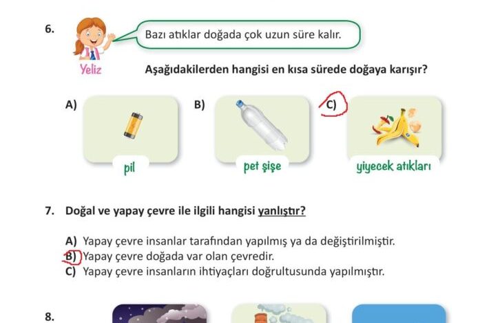 3. Sınıf Fen Bilimleri Meb Yayınları Sayfa 205 Cevapları