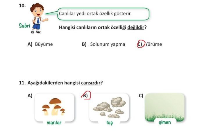 3. Sınıf Fen Bilimleri Meb Yayınları Sayfa 206 Cevapları