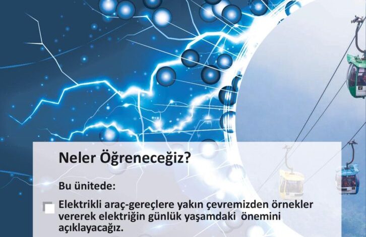 3. Sınıf Fen Bilimleri Meb Yayınları Sayfa 208 Cevapları