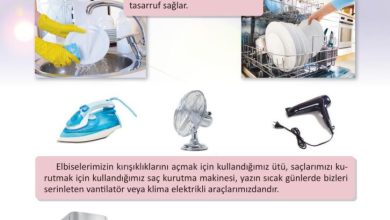 3. Sınıf Fen Bilimleri Meb Yayınları Sayfa 211 Cevapları