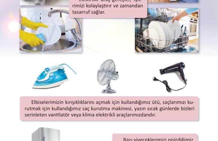 3. Sınıf Fen Bilimleri Meb Yayınları Sayfa 211 Cevapları