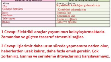 3. Sınıf Fen Bilimleri Meb Yayınları Sayfa 214 Cevapları