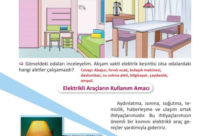 3. Sınıf Fen Bilimleri Meb Yayınları Sayfa 216 Cevapları