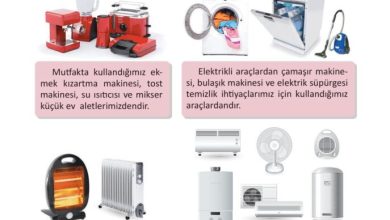 3. Sınıf Fen Bilimleri Meb Yayınları Sayfa 217 Cevapları