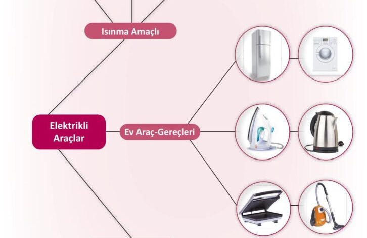 3. Sınıf Fen Bilimleri Meb Yayınları Sayfa 218 Cevapları