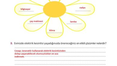 3. Sınıf Fen Bilimleri Meb Yayınları Sayfa 219 Cevapları