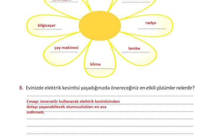 3. Sınıf Fen Bilimleri Meb Yayınları Sayfa 219 Cevapları