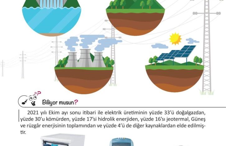 3. Sınıf Fen Bilimleri Meb Yayınları Sayfa 223 Cevapları