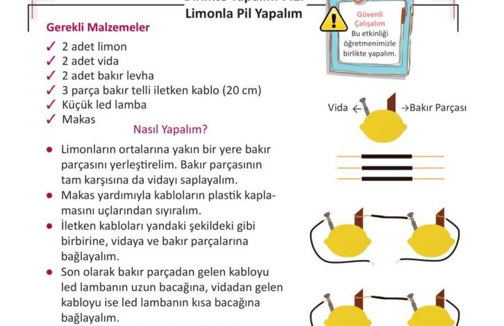 3. Sınıf Fen Bilimleri Meb Yayınları Sayfa 224 Cevapları