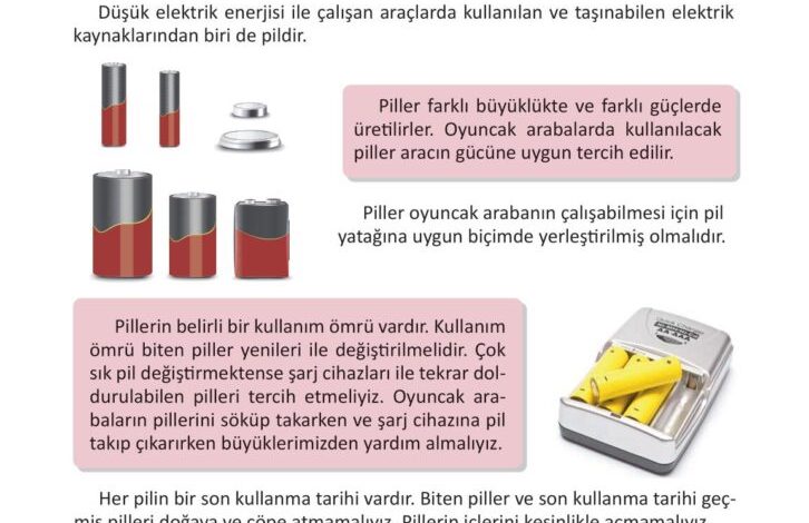 3. Sınıf Fen Bilimleri Meb Yayınları Sayfa 225 Cevapları