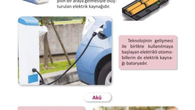 3. Sınıf Fen Bilimleri Meb Yayınları Sayfa 226 Cevapları